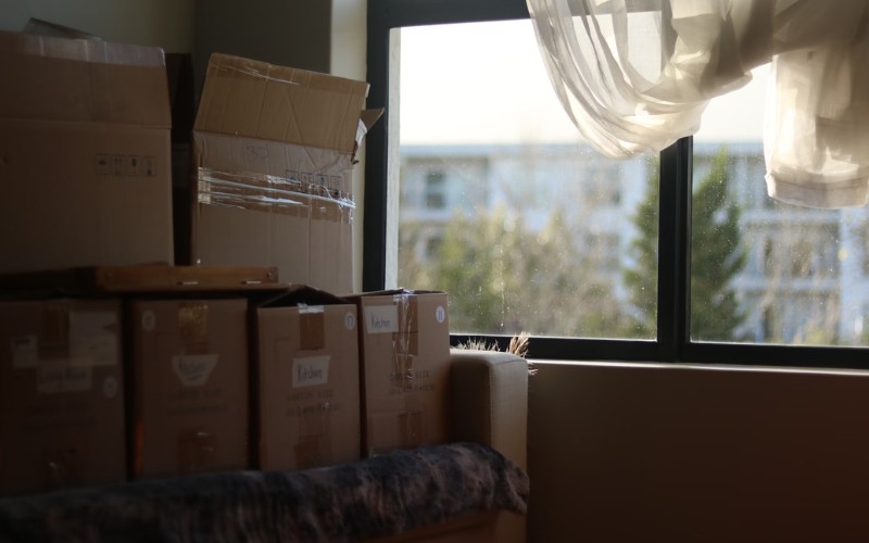 LAZZAWEB x Flytteholdet